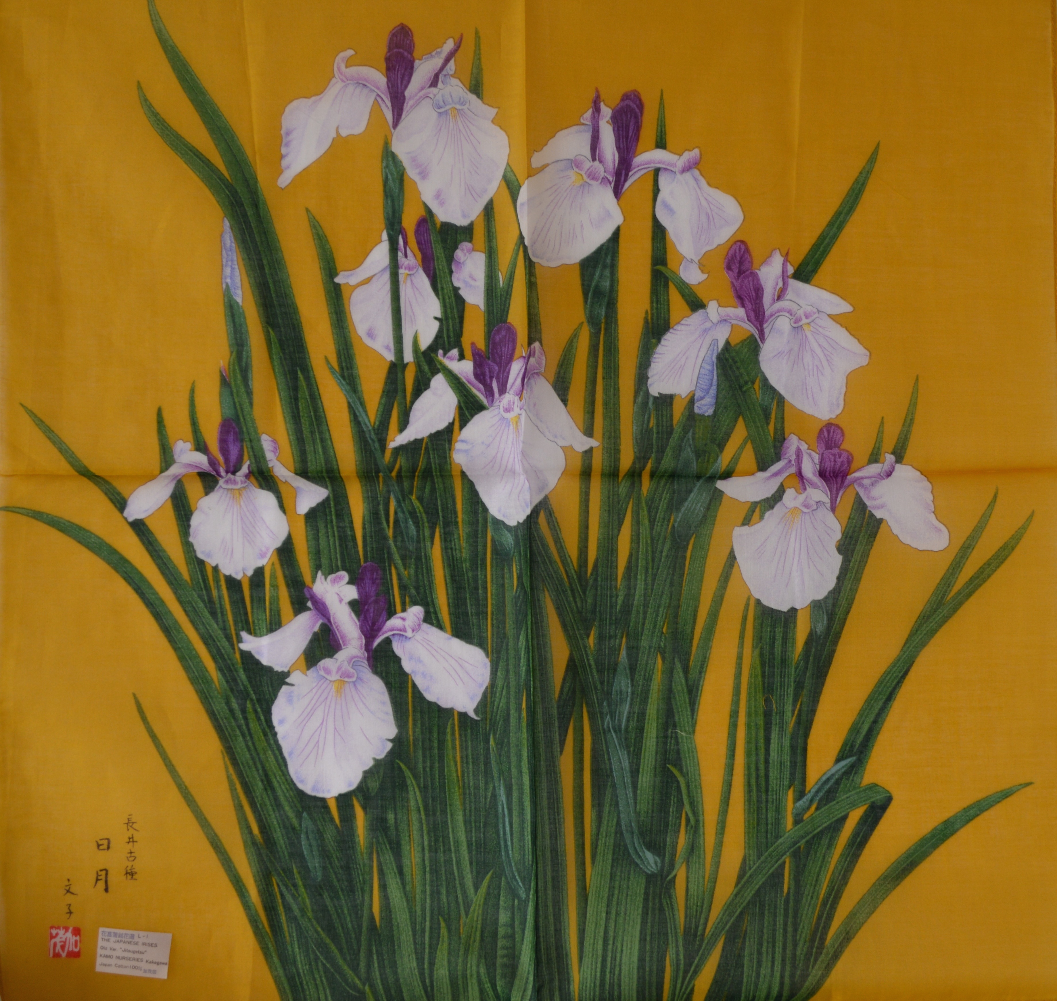 3677x3480 Handkerchiefs, Magical Japanese Iris Designs Styled In Japan - Japanese Iris Painting