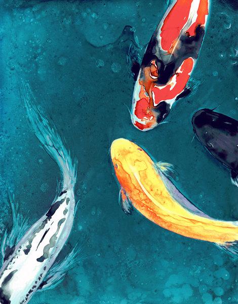 470x600 Watercolor Painting - Japanese Koi Painting