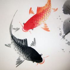 236x236 Yin And Yang Japanese Koi Carp Painting 100% Handmade With High - Japanese Koi Painting