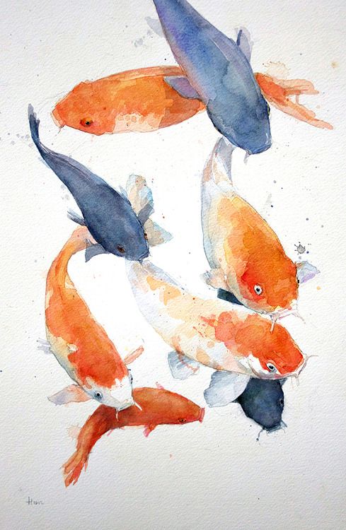 489x750 Allen Egan Koi Carp, Watercolor. Life Imitating Art - Japanese Koi Painting