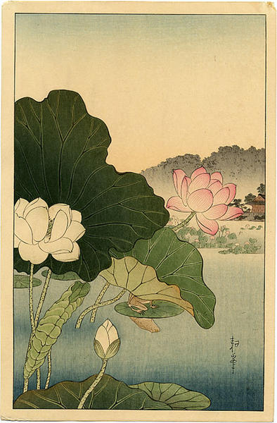 394x600 Koho A Frog On Lotus Leaf - Japanese Lotus Painting