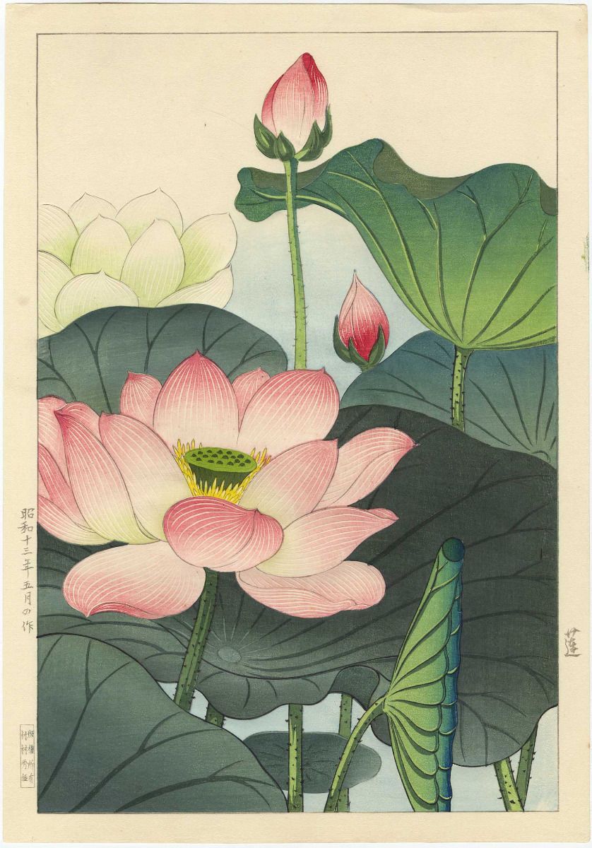 838x1200 Nishimura Hodo Japanese Woodblock Print Lotus Blossoms Original - Japanese Lotus Painting