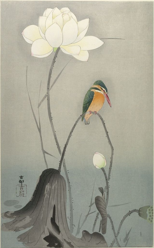 639x1024 Ohara Koson, Kingfisher With Lotus Flower, Woodblock Print, Early - Japanese Lotus Painting
