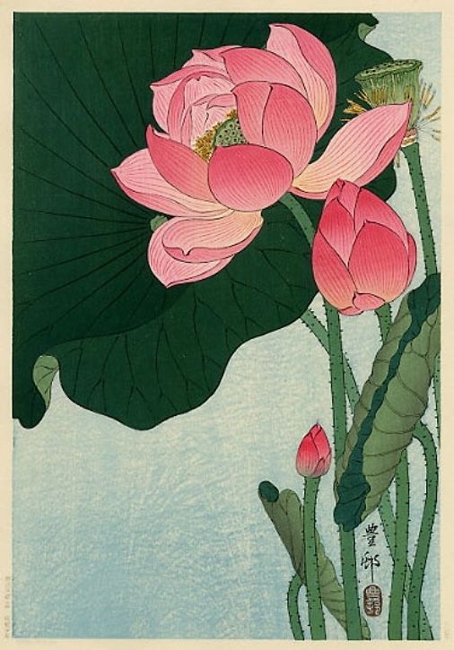 506x725 Ohara Koson - Japanese Lotus Painting