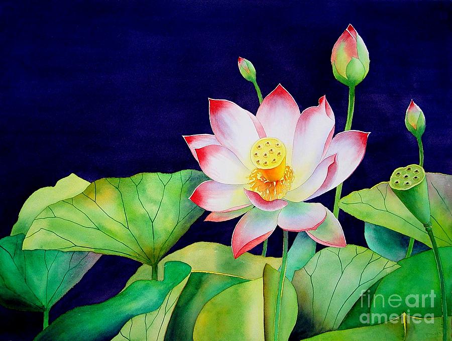 900x679 Sacred Lotus Painting By Robert Hooper - Japanese Lotus Painting
