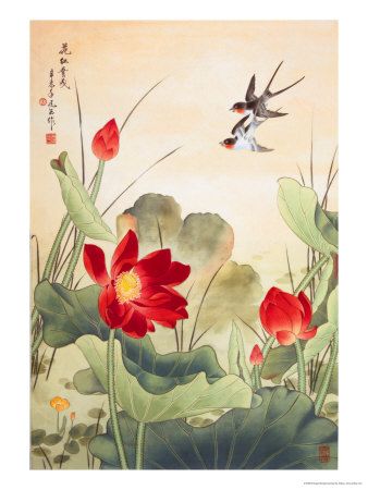 338x450 Swallows Amp Lotus Flowers Beautiful For Fame Area Www - Japanese Lotus Painting
