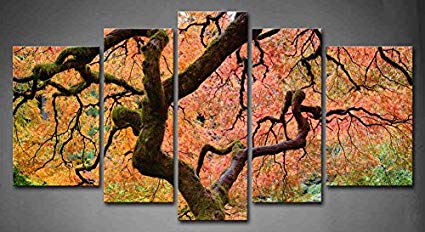 425x232 5 Panel Wall Art Old Japanese Maple Tree With Pink - Japanese Maple Painting
