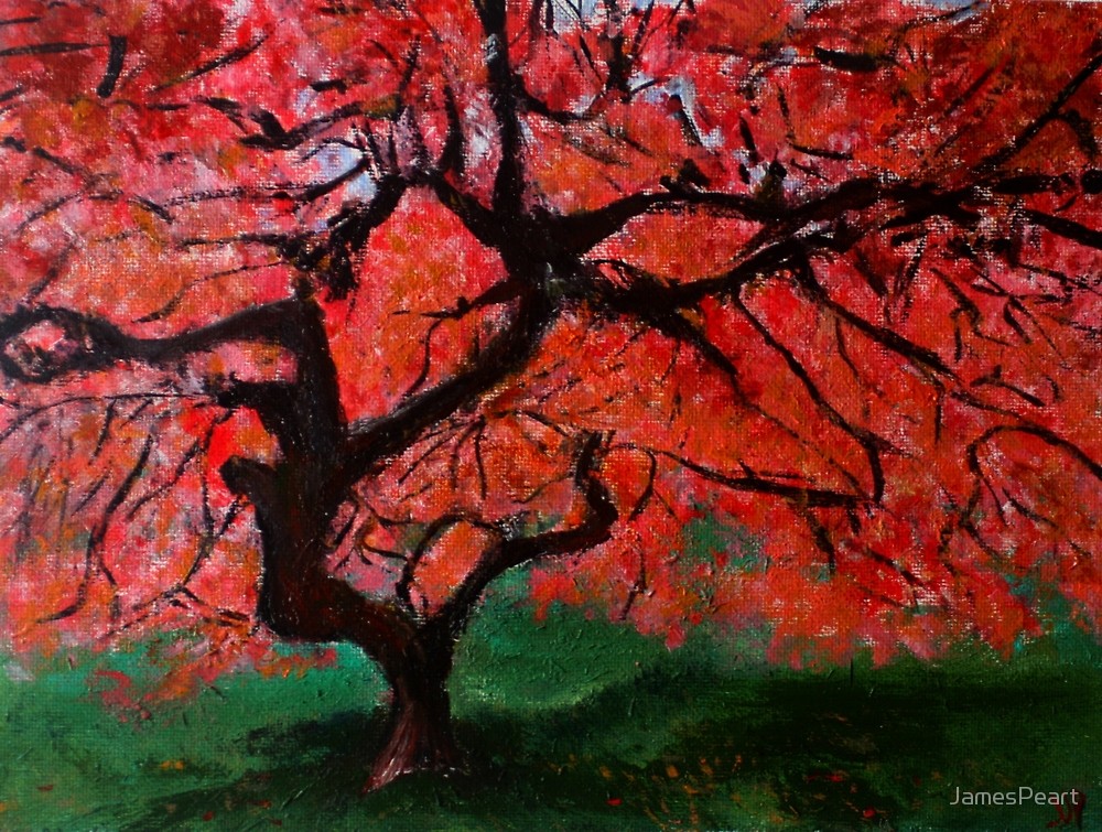 1000x755 Japanese Maple Tree Red Pink Leaves Contemporary Acrylic Painting - Japanese Maple Tree Painting