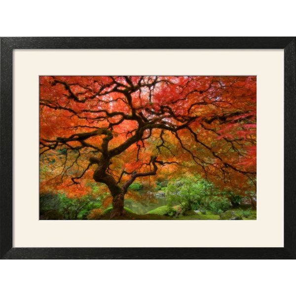 Japanese Maple Tree Painting at PaintingValley.com | Explore collection ...