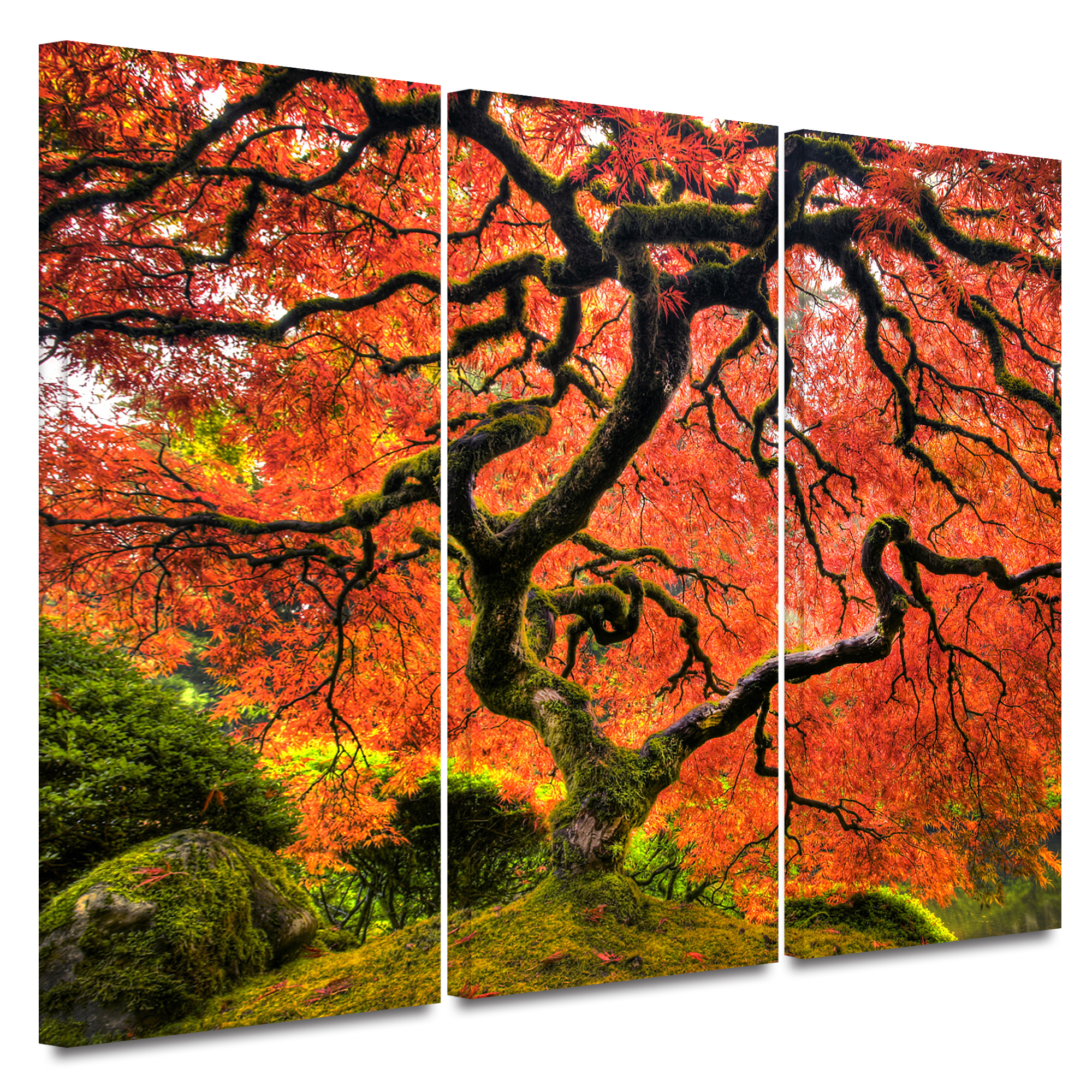 2000x2000 Shop John Black - Japanese Maple Tree Painting