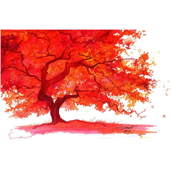 600x600 Watercolor Japanese Maple Tree Painting, Jessica Durrant - Japanese Maple Tree Painting