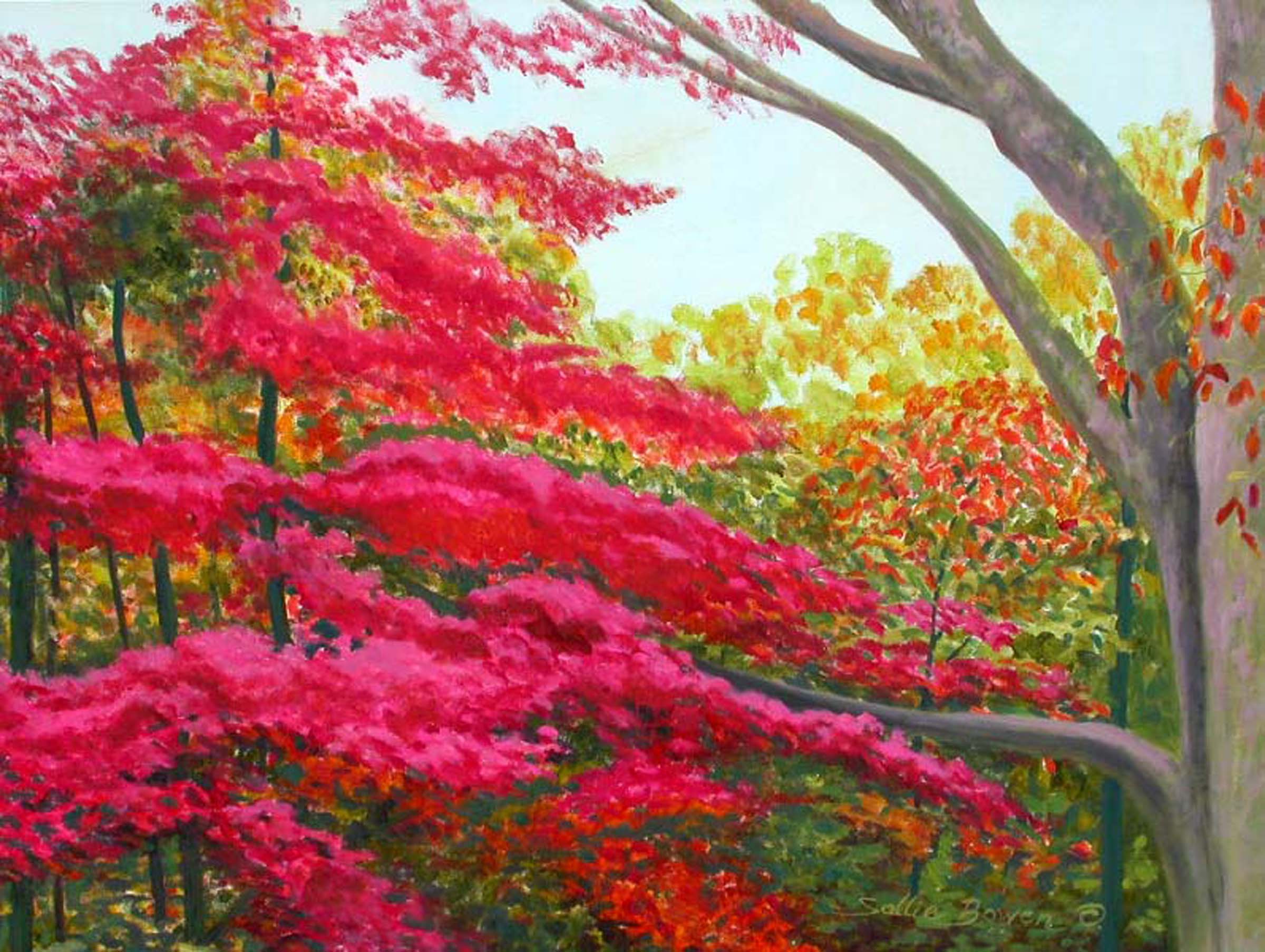 2400x1807 Japanese Maple - Japanese Maple Tree Painting