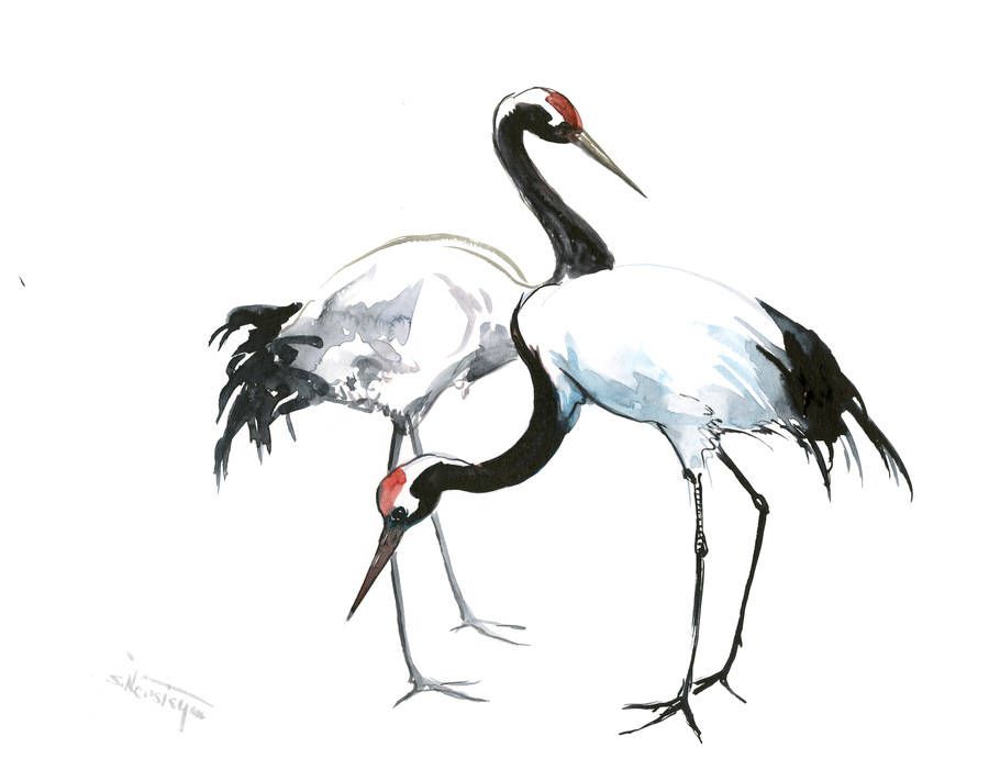 900x701 Japaneese Crane, Two Cranes, Original Watercolor Minimalist - Japanese Minimalist Painting