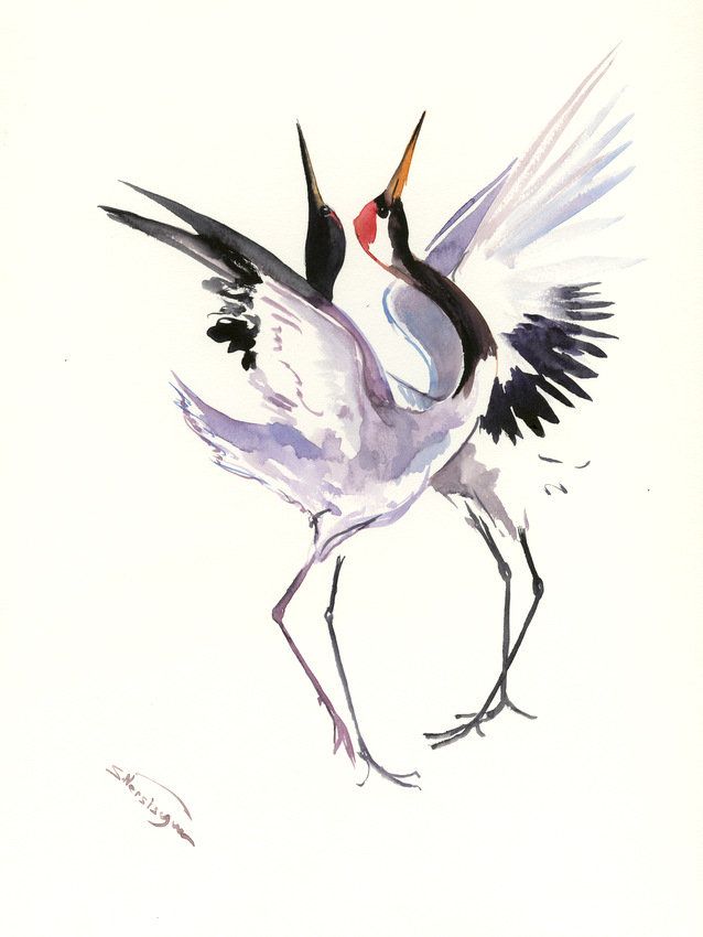638x850 Japanese Crane Dance , Two Cranes, Original Watercolor Minimalist - Japanese Minimalist Painting