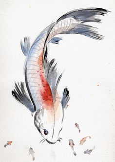 236x331 Sumi E Fish, Koi And Tattoo - Japanese Painting Koi