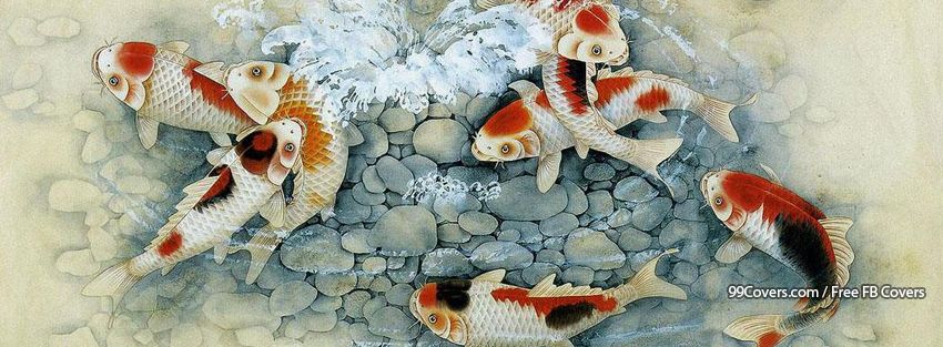 850x313 Facebook Cover Photos - Japanese Painting Koi