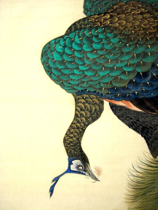 600x800 Japanese Hand Painted Scroll Silk, In The Design Of Peacock - Japanese Peacock Painting