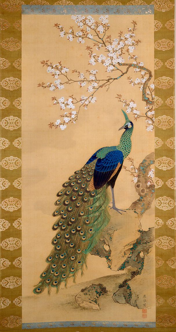 607x1140 Peacock And Cherry Blossom. Maruyama Okyo. Hanging Scroll - Japanese Peacock Painting