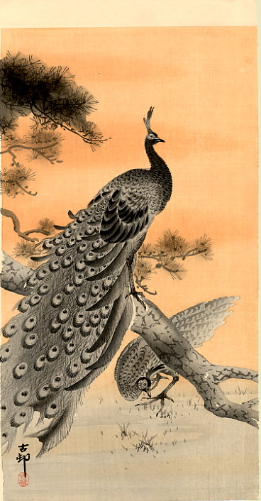 368x706 Peony And Paddy Birds, 1926 - Japanese Peacock Painting