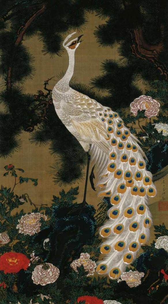 583x1050 Albino Cock. Art X Albino, Japanese And Japanese - Japanese Peacock Painting
