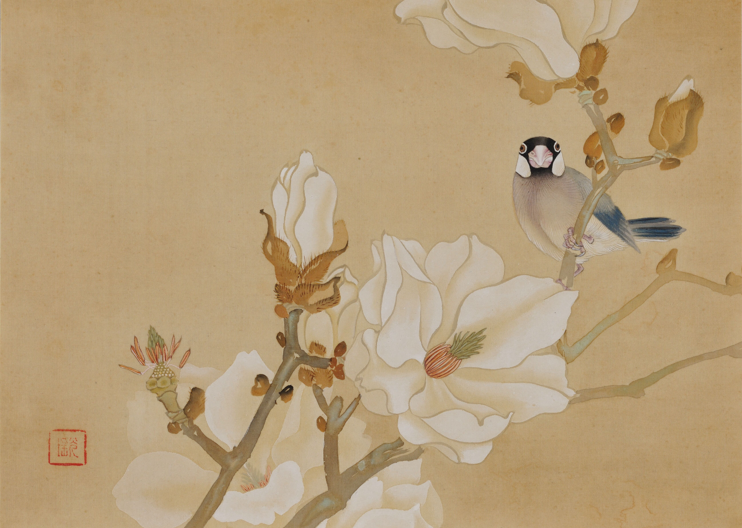 2592x1843 Ishizaki Koyo (1884 1947) White Magnolia, Java Sparrow. Japanese - Japanese Silk Painting