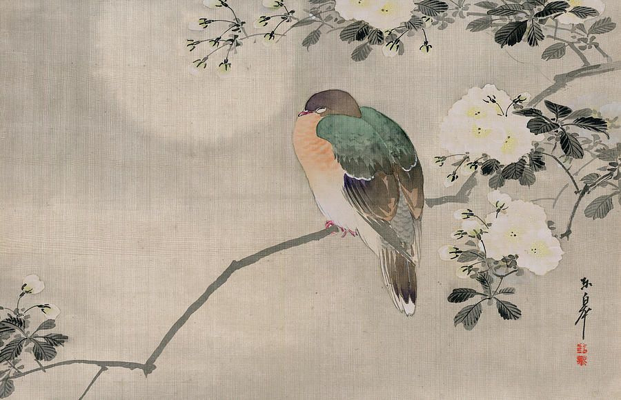 900x580 Japanese Silk Painting Of A Wood Pigeon Painting By Japanese School - Japanese Silk Painting