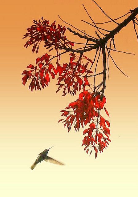 448x640 Japanese Silk Paintings Japanese Silk Painting - Japanese Silk Painting