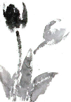 240x344 Fumiko Kurokawa Japanese Sumi E Painting Show Touching Stone Gallery - Japanese Sumi E Painting