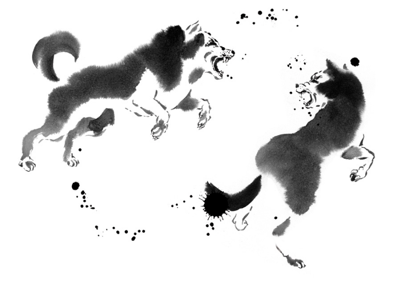 800x565 Sumi E Painting Gallery With Animals Painted By Cyril Blondeau - Japanese Sumi Painting