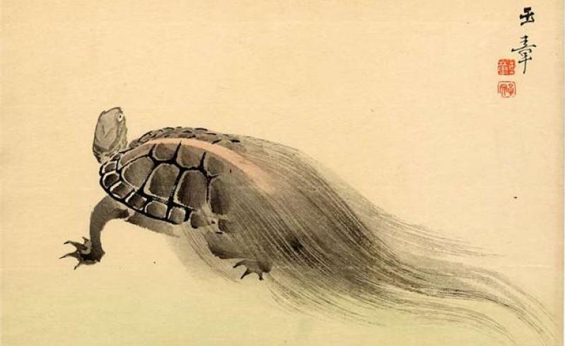 800x491 Japan The Glyptodon Painting For Home - Japanese Turtle Painting