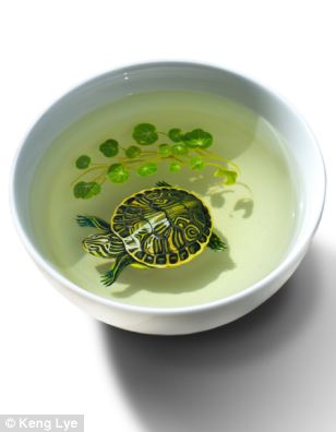 308x396 Artist Creates Stunning 3d Paintings Of Fish Using Layers Of Paint - Japanese Turtle Painting