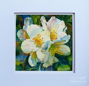 300x292 Jasmine Flower Paintings - Jasmine Flower Painting