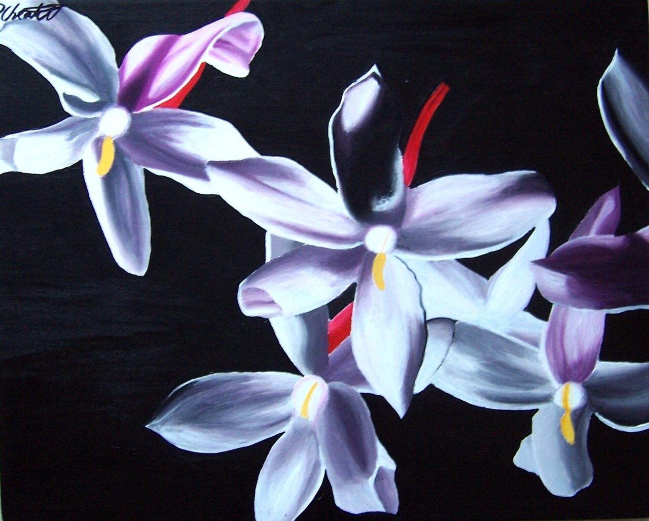 Jasmine Flower Painting at Explore collection of