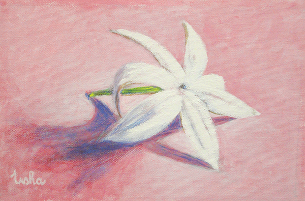 600x395 Portrait Of The Jasmine Flower Painting By Usha Shantharam - Jasmine Flower Painting