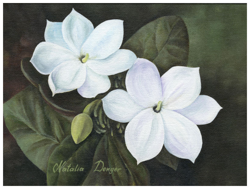 Jasmine Flower Painting at Explore collection of