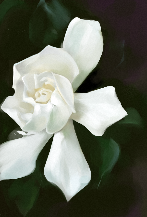 600x885 Jasmine By Mihirmalavia - Jasmine Painting