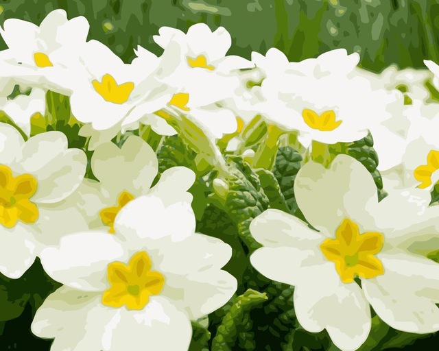 640x512 Mahuaf I915 Chinese Jasmine Flower Painting By Numbers Diy Oil - Jasmine Painting