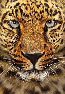 209x300 Jason Morgan Paintings Pixels - Jason Morgan Painting