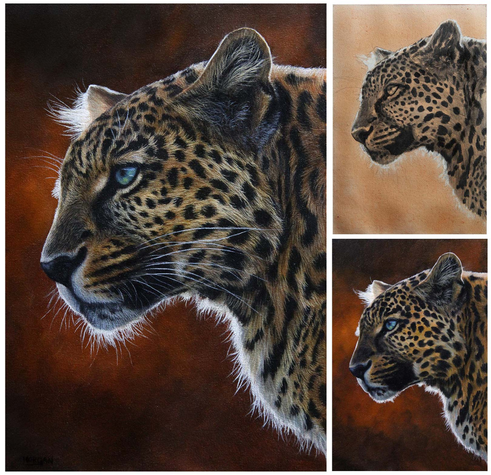 1000x967 Painting A Leopard - Jason Morgan Painting