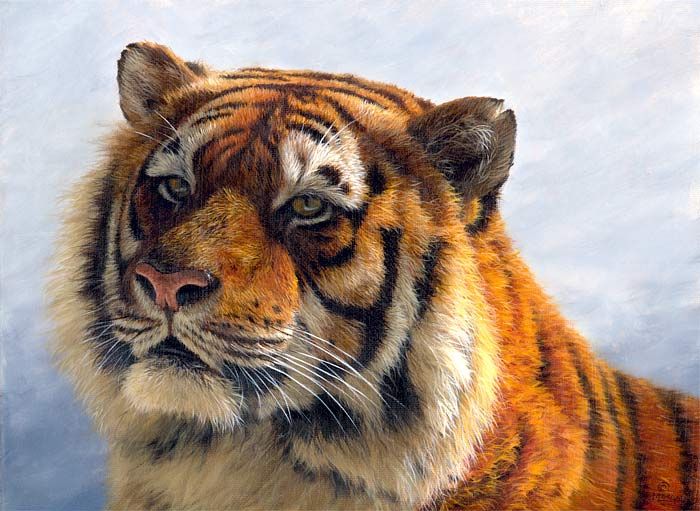 700x511 Siberian Tiger Limited Edition Giclee Prints - Jason Morgan Painting