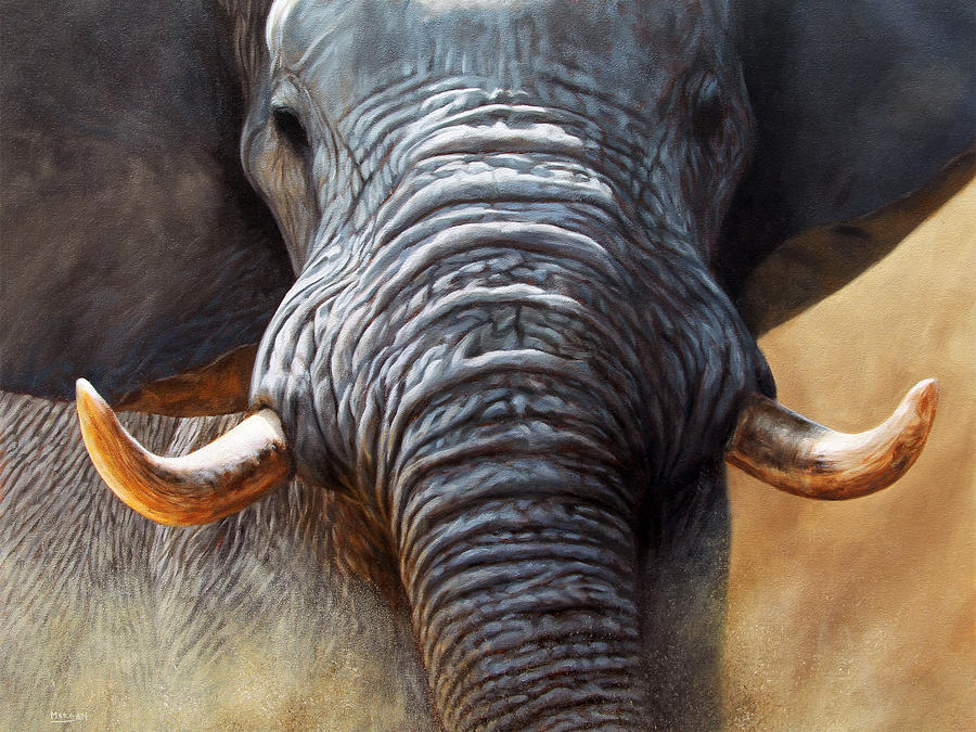 900x675 African Elephant Charge Painting By Jason Morgan - Jason Morgan Painting