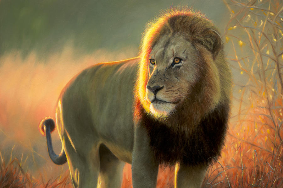900x599 African Lion Painting Print Painting By Jason Morgan - Jason Morgan Painting