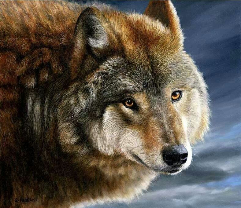 788x681 Artist Jason Morgan Animals Artist And Wildlife Art - Jason Morgan Painting