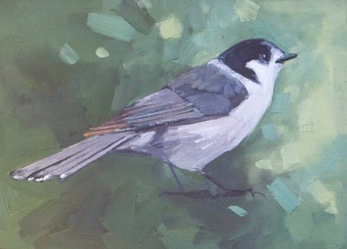 504x362 Color And Light We'Re On A Roll - Jays Painting