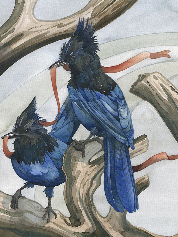 600x800 Steller's Jays - Jays Painting