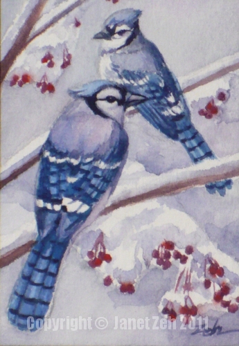 345x500 Zeh Original Art Blog Watercolor And Oil Paintings Blue Jays - Jays Painting