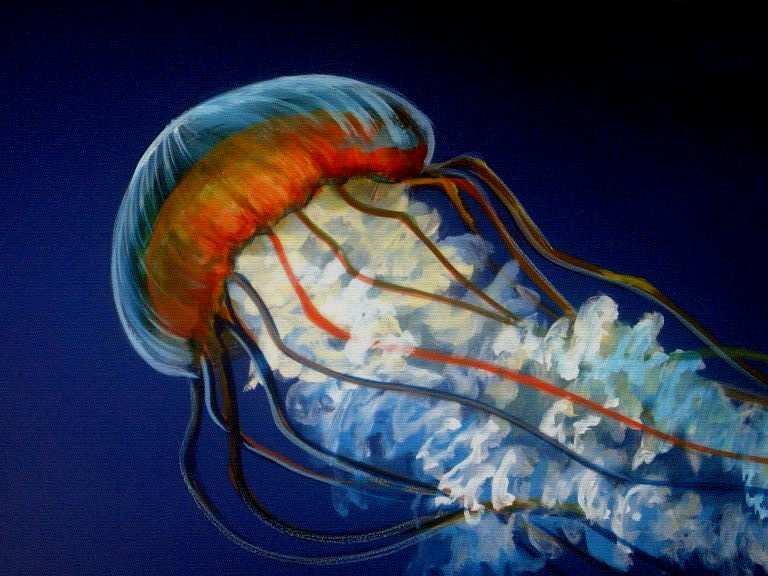 768x576 Jellyfish Painting By Vampiric Time Lord - Jellyfish Oil Painting