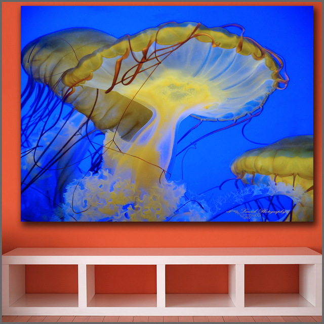 640x640 Large Size Printing Oil Painting Wandering Jellyfish Wall Art - Jellyfish Oil Painting