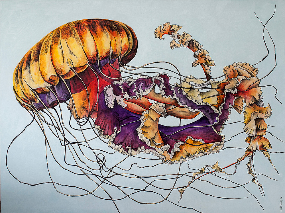 1000x748 Fine Art Portfolio Leigh Bisset - Jellyfish Oil Painting