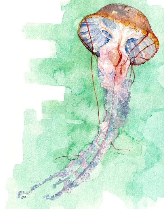 570x726 Jellyfish Painting Print From Original Watercolor Painting - Jellyfish Painting